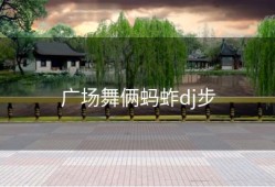 广场舞俩蚂蚱dj步