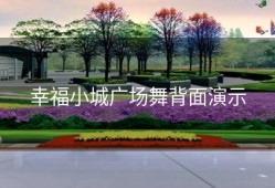 幸福小城广场舞背面演示