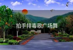 拍手排毒歌广场舞