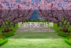 奶奶不哭广场舞