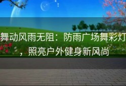 舞动风雨无阻：防雨广场舞彩灯，照亮户外健身新风尚