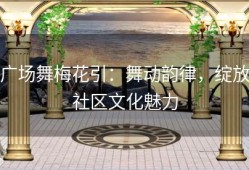 广场舞梅花引：舞动韵律，绽放社区文化魅力