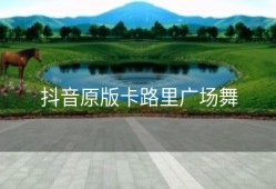 抖音原版卡路里广场舞