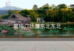 馨梅广场舞东北东北