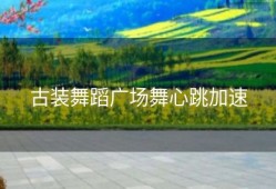 古装舞蹈广场舞心跳加速