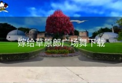 嫁给草原郎广场舞下载