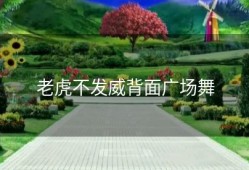 老虎不发威背面广场舞
