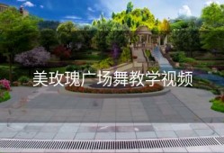 美玫瑰广场舞教学视频