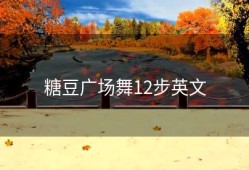 糖豆广场舞12步英文