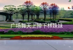 广场舞天上掉下林妹妹