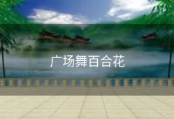 广场舞百合花