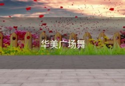 华美广场舞