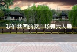 我们共同的家广场舞六人舞