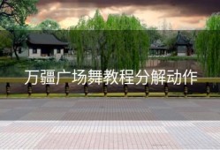 万疆广场舞教程分解动作