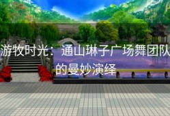 游牧时光：通山琳子广场舞团队的曼妙演绎