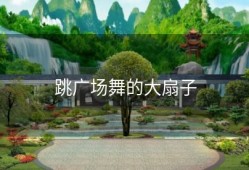 跳广场舞的大扇子