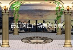 最新网红广场舞洗衣舞