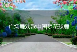 广场舞欢歌中国梦花球舞