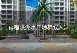再唱洪湖水广场舞双人舞