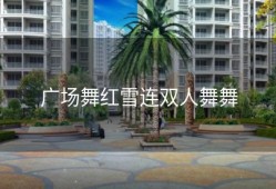 广场舞红雪连双人舞舞