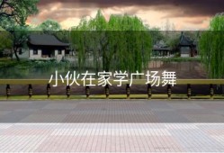 小伙在家学广场舞