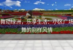 舞动绿洲，乐享生活：小区广场舞的别样风情