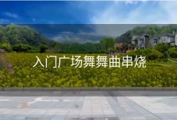 入门广场舞舞曲串烧