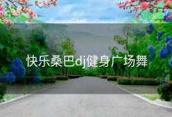 快乐桑巴dj健身广场舞
