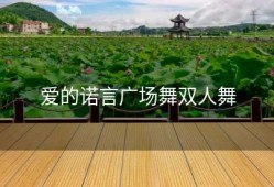 爱的诺言广场舞双人舞