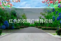 红色的衣服广场舞视频