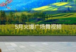 5月火爆广场舞视频