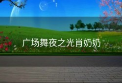 广场舞夜之光肖奶奶