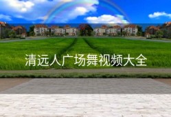 清远人广场舞视频大全