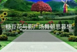 糖豆花与影广场舞朝思暮想