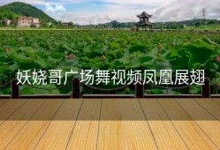 妖娆哥广场舞视频凤凰展翅