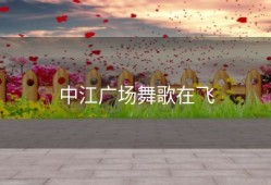 中江广场舞歌在飞