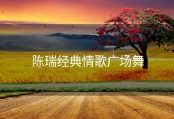 陈瑞经典情歌广场舞