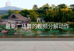 最新广场舞的视频分解动作