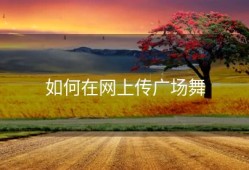 如何在网上传广场舞