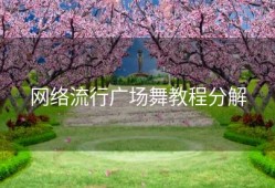 网络流行广场舞教程分解