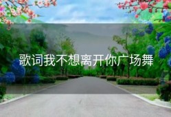 歌词我不想离开你广场舞