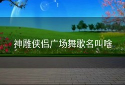 神雕侠侣广场舞歌名叫啥
