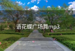 语花蝶广场舞mp3