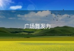 广场舞发力