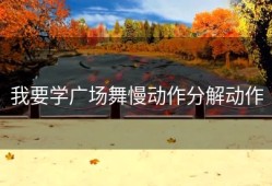 我要学广场舞慢动作分解动作