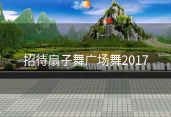 招待扇子舞广场舞2017