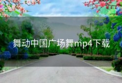 舞动中国广场舞mp4下载
