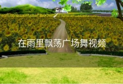 在雨里飘荡广场舞视频