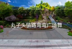 丸子头情路弯弯广场舞