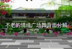 不老的情缘广场舞背面分解